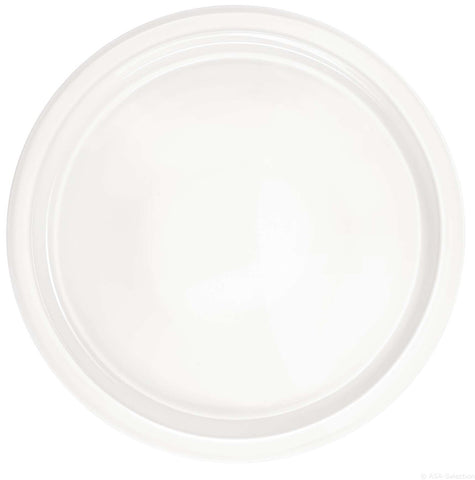 Grande Porcelain Pizza Plate